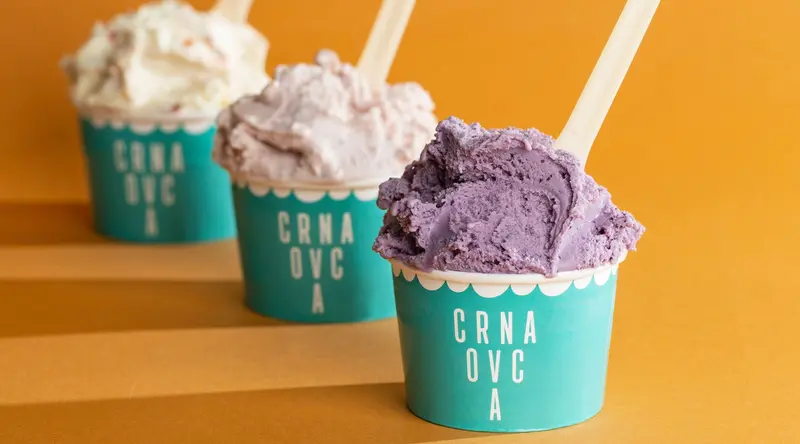 Crna Ovca