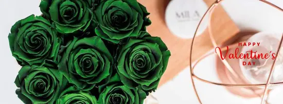 Mila Maison des Roses