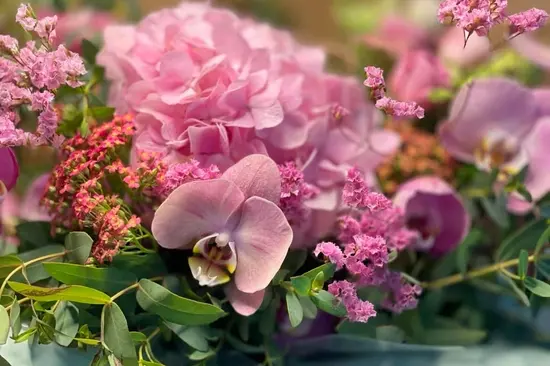 Girassol - Loja de Flores