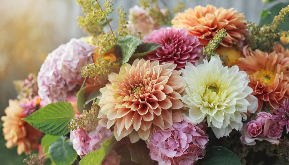 Flowers City
