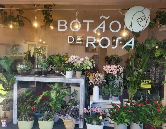 Botão de Rosa