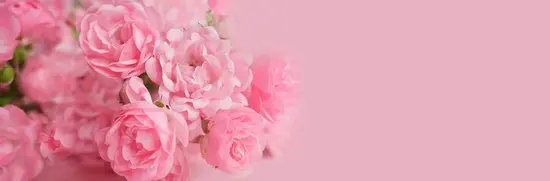 L'art Des Fleurs