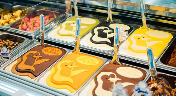 Gelateria Pinguino Reale