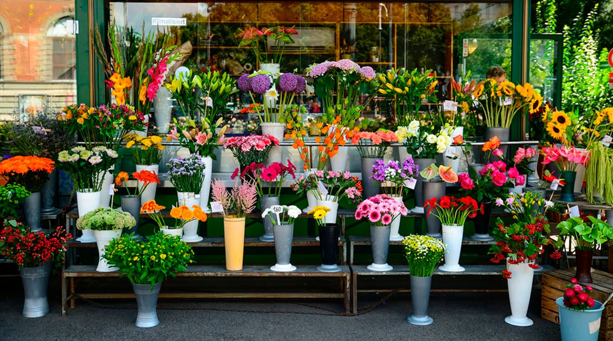 Floristería Soriano