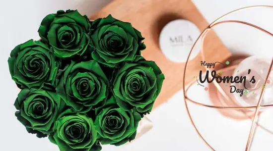 Mila Maison des Roses