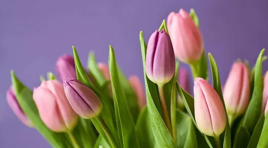 Floristerías Bilbao Gandarias