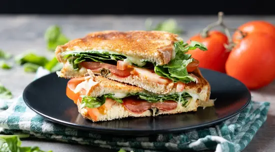 Hanu lu Moș Opincă