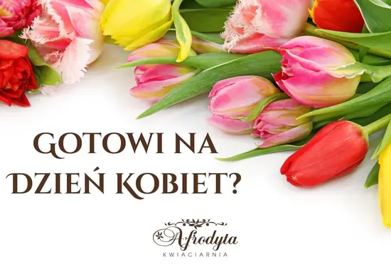 Kwiaciarnia AFRODYTA