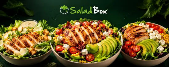 Salad Box