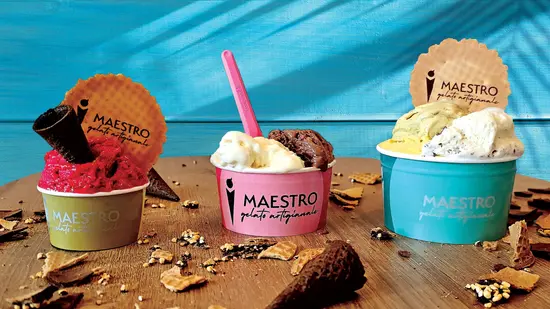 MAESTRO Gelato Artigianale