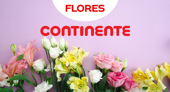 Flores Continente