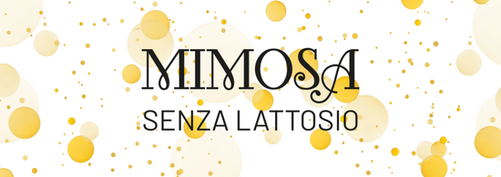 Gelateria La Mimosa