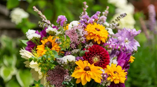 Floristería Antea Flora