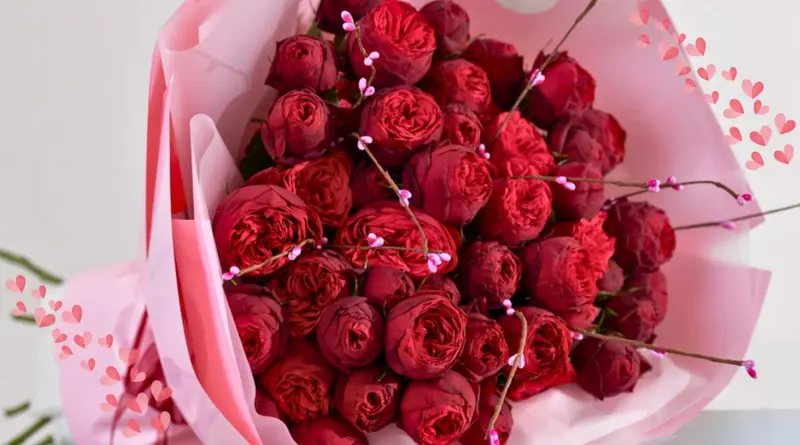 Noosh Flowers