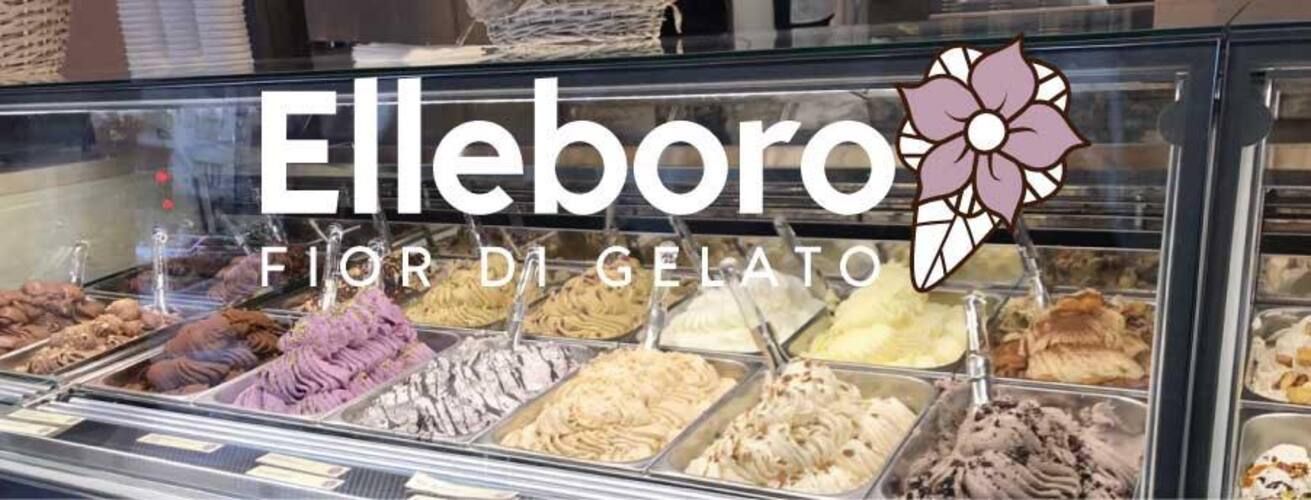 Elleboro Fior Di Gelato