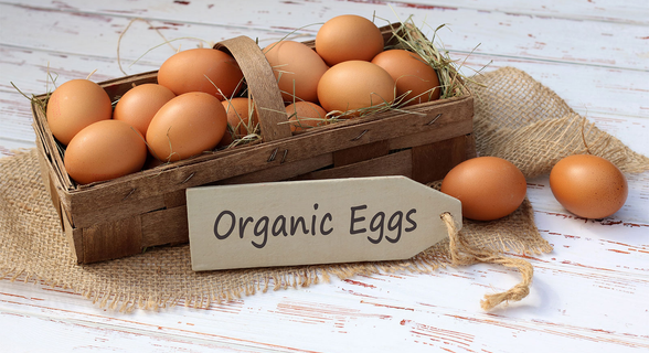 Muwonge Organic Eggs