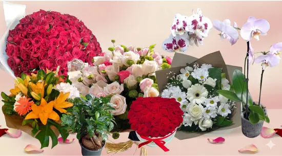 FLEURS D'AGDAL