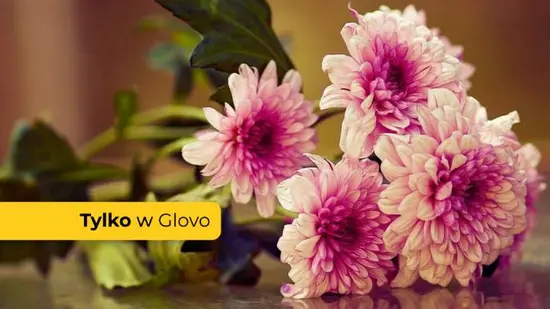 Kwiaciarnia Mercedes