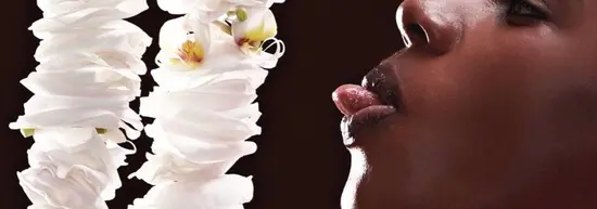Araik Galstyan Diseño Floral