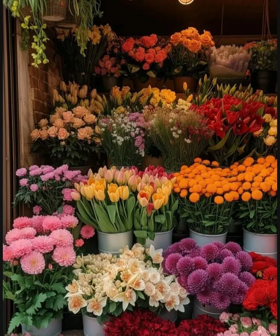 The Nairobi Flower Shop