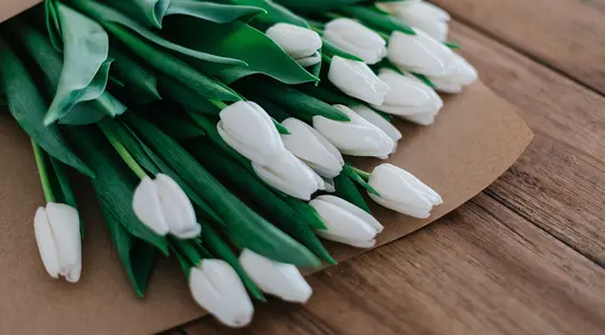 Piante e Fiori - Pace e Amore