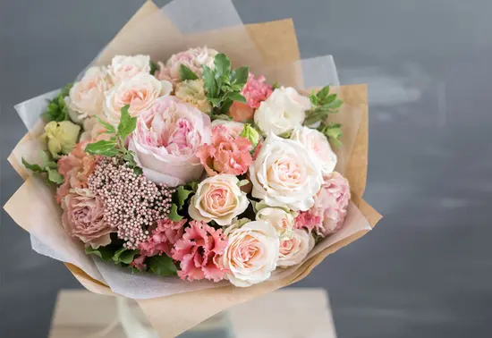 M & O Fiori e Piante