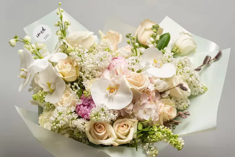 IMOD Flowers