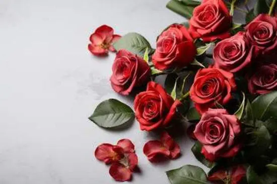 Fleurs Et Cadeaux