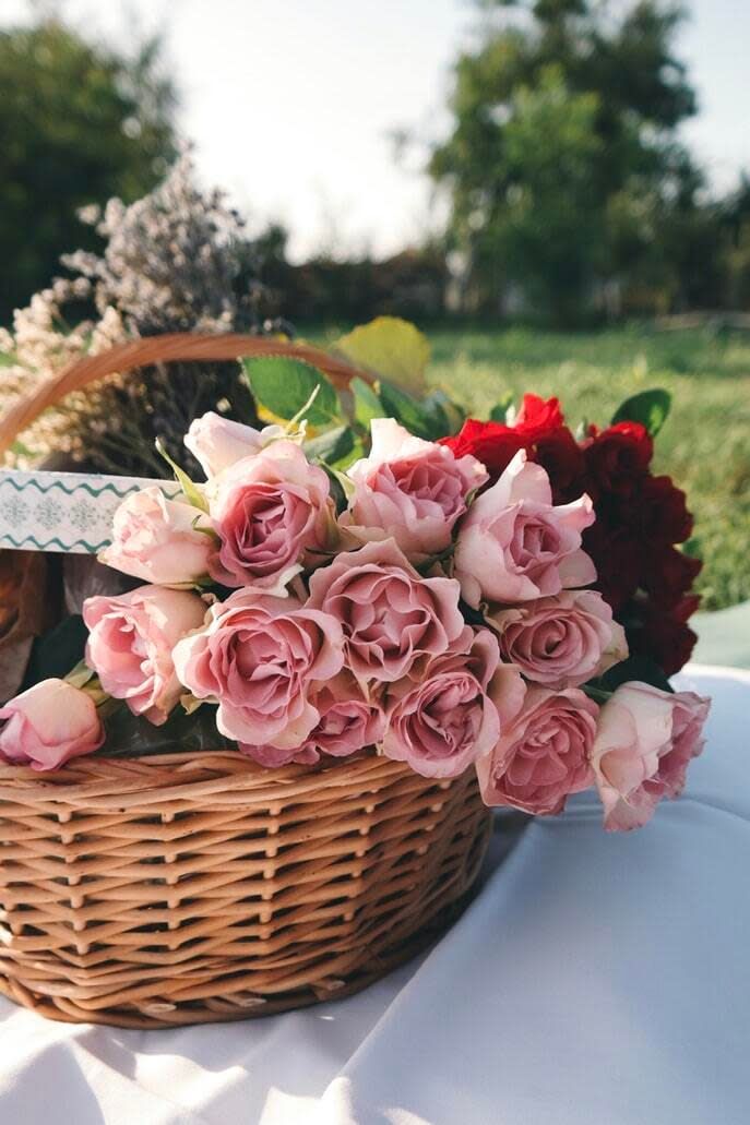 Cvjećara L'amour flower shop