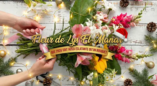 Fleur de Lys Elmanar 2