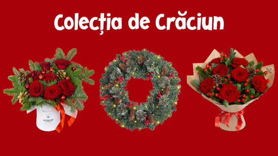 Florăria Jasmine Flowers