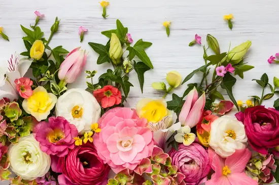 Tsvit Flowers