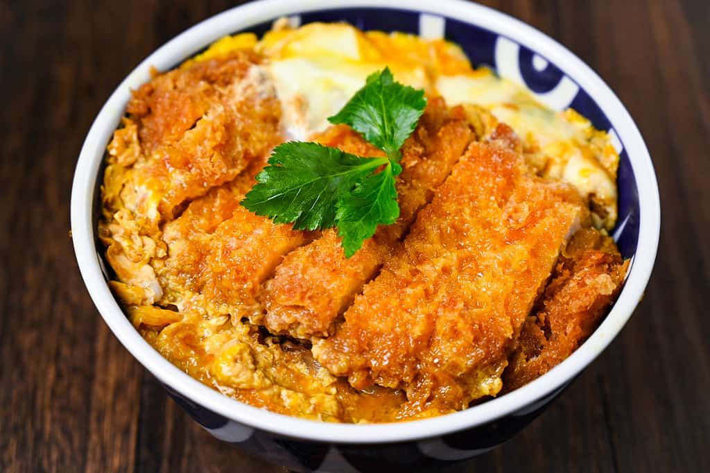 Katsudon Special