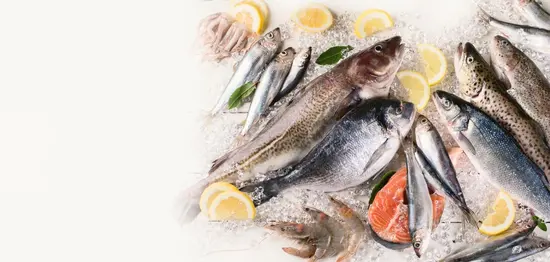 Gastro ribarnica Brač - Poljud