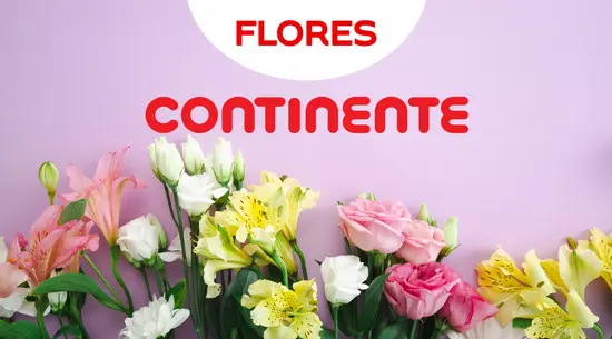 Flores Continente