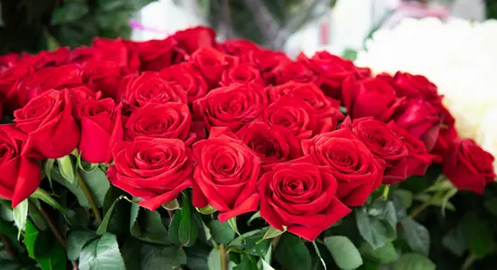 L'Artigiano del Fiore