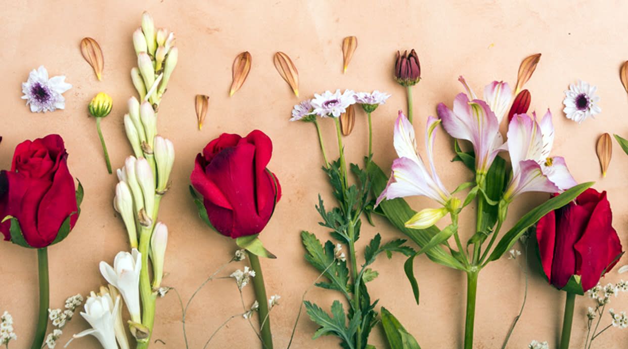 Floristería Orquídea Haus