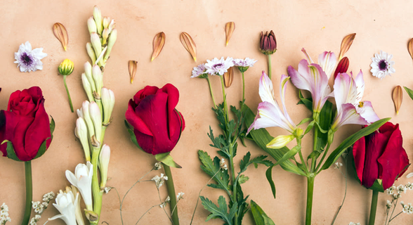 Floristería Orquídea Haus