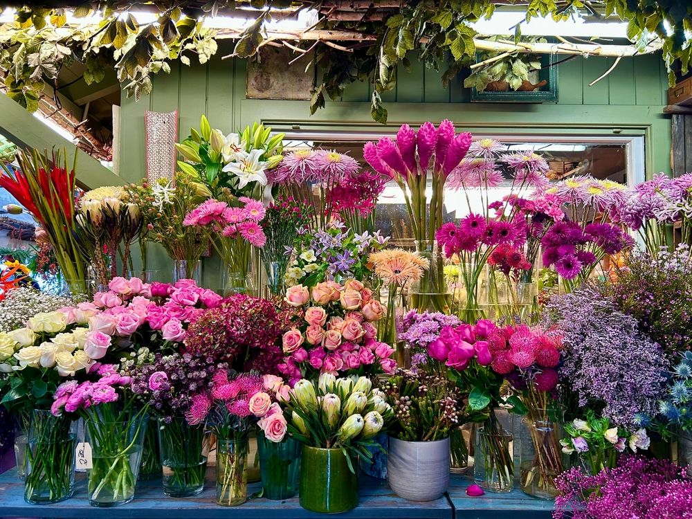 Babulflowers