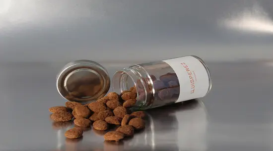 Lluís Perez Pastisser