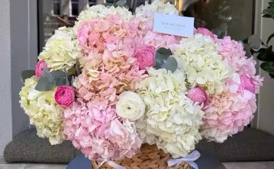 Moulin Rose