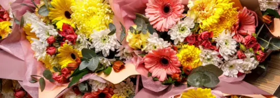 Florista Quinta Das Flores