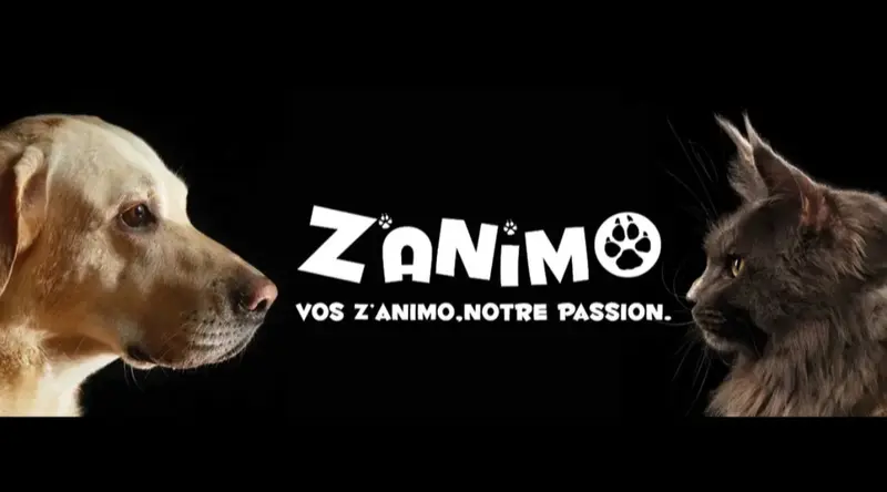 Zanimo