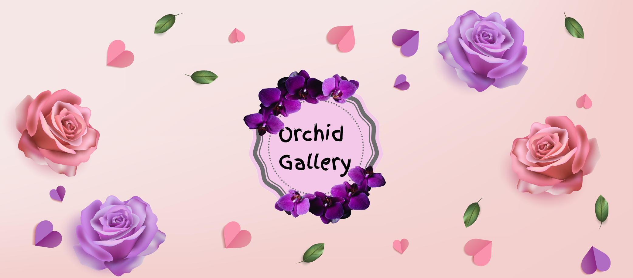 Orchid Gallery