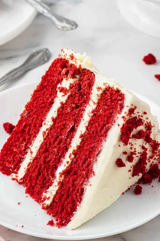 Cake Splendour