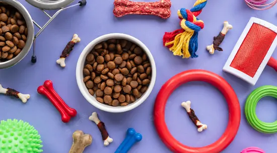 Sklep zoologiczny Pod czarnym kotem