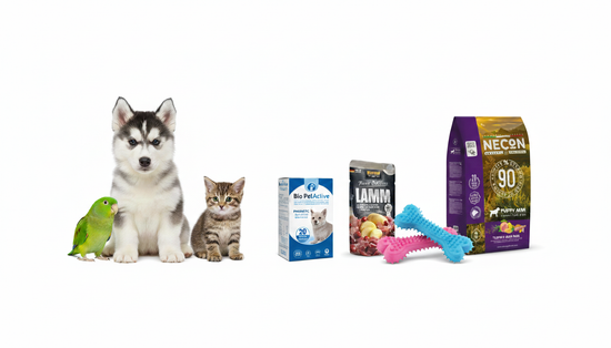 World in Zoo Mrgval Bagtan