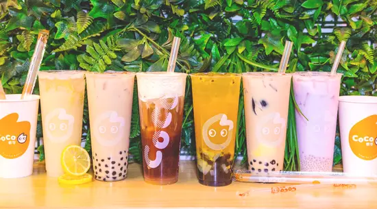 Coco Bubble Tea Gracia