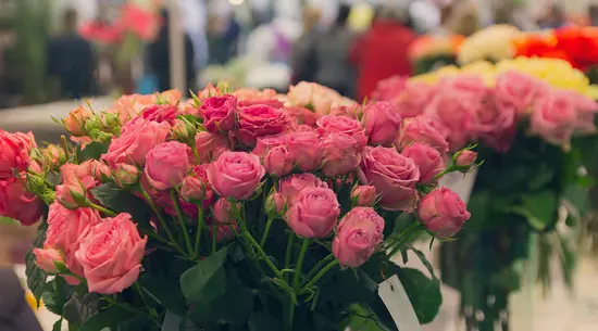 Floristería Guimaguada