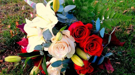 Floristería Natureza